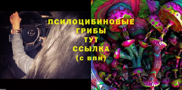 PSILOCYBIN Белокуриха